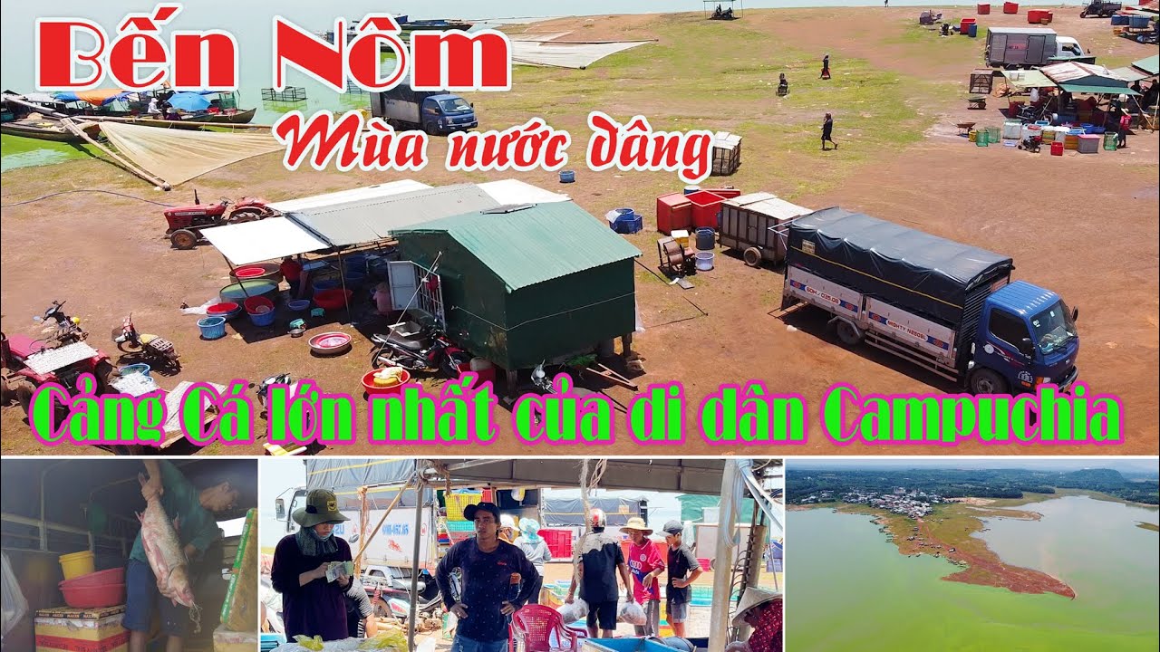 BẾN NÔM Mùa nước dâng | Cảng cá LỚN NHẤT của di dân CAMPUCHIA trên hồ TRỊ AN | @NgườiViệtnam2040