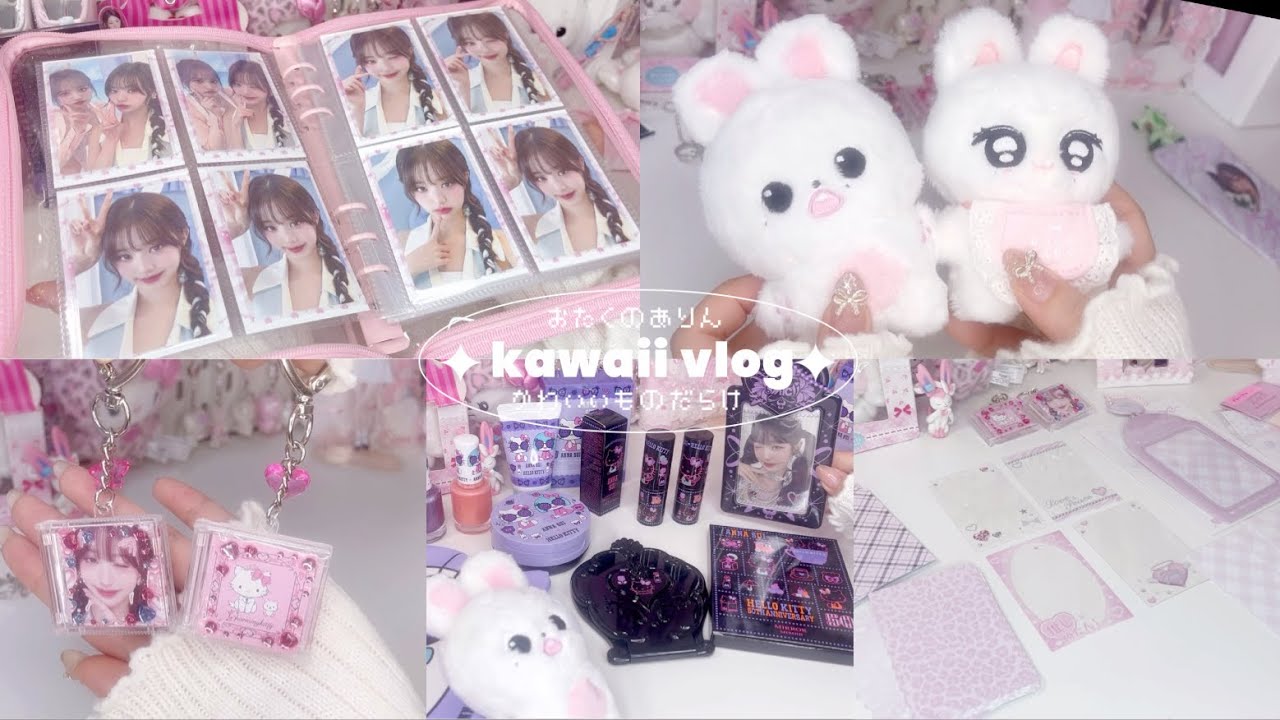 新たなかわいい推し活グッズ🎀/divevlog/オタク購入品/다이브로그/トレカ収納/kawaii vlogウォニョン🐰