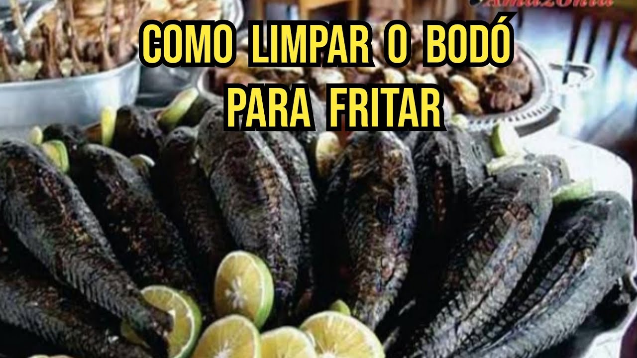 ✅😱[PASSO A PASSO ] COMO É FEITO O BODÓ FRITO DIRETO DA AMAZÔNIA🌳🌳🌳
