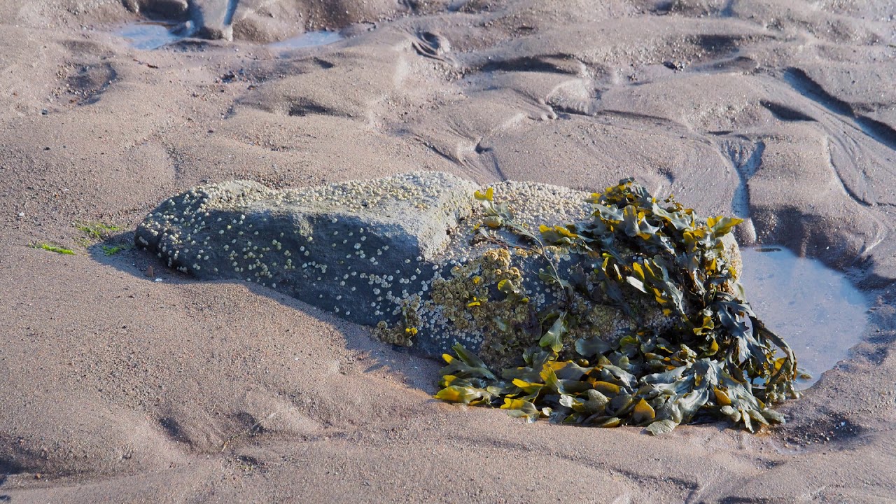 Parrsboro