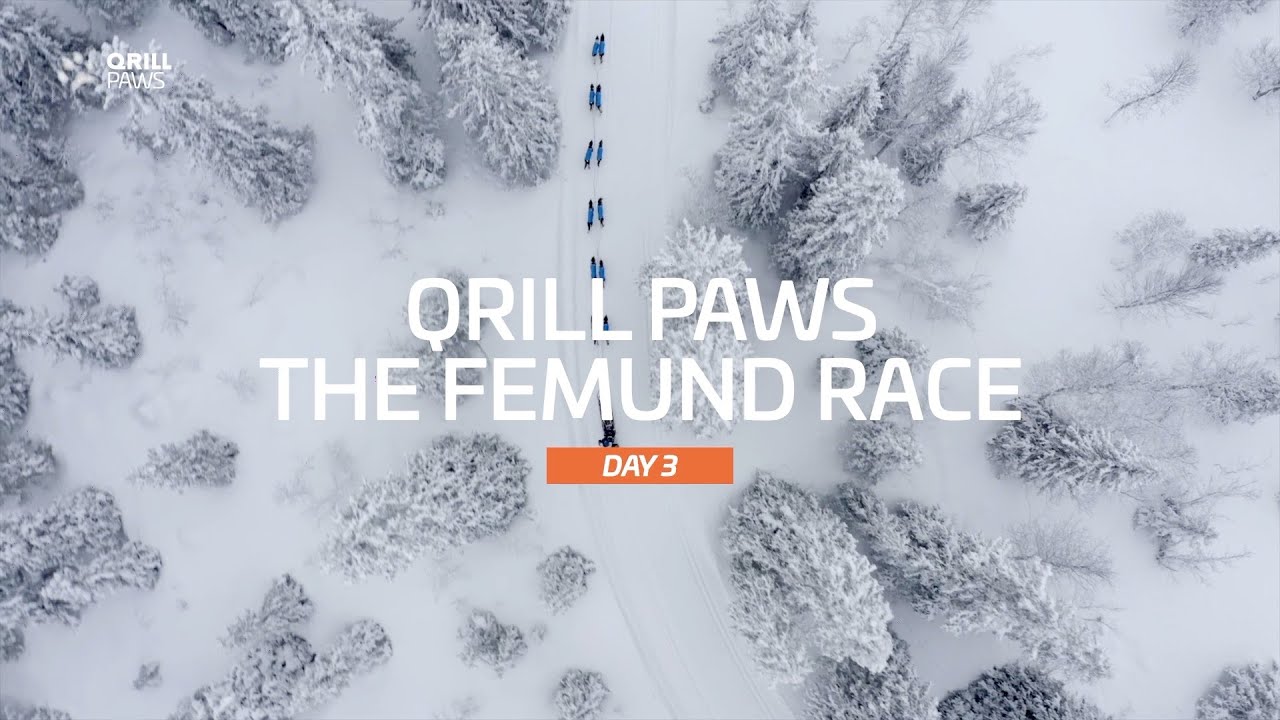 Femundl&oslash;pet Highlight | DAY 3 | QRILLPAWS 2022