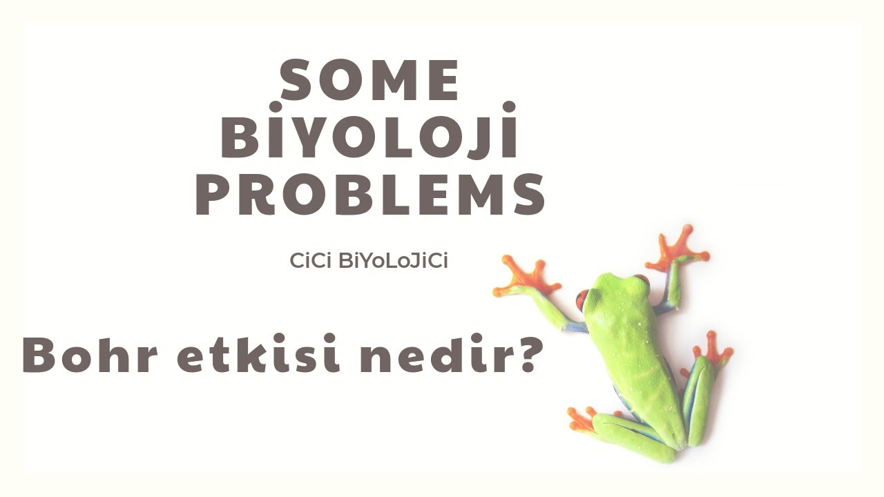 Bohr etkisi nedir?