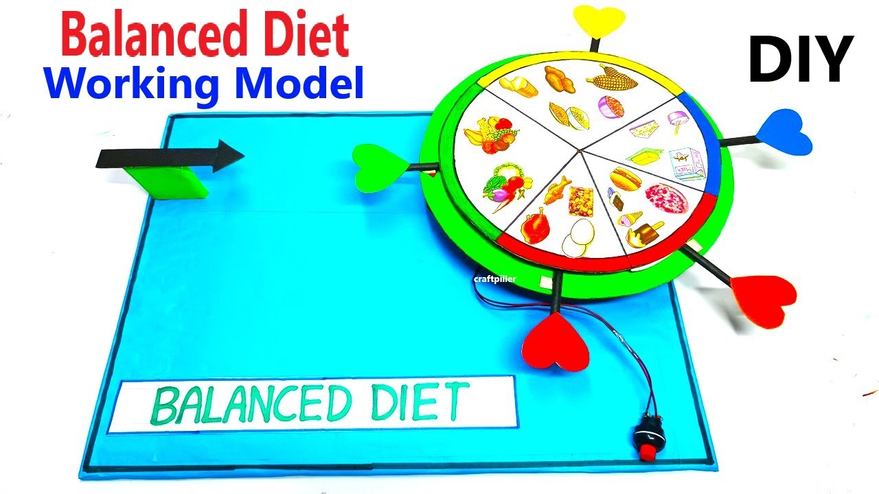 Balanced diet working model for science project exhibition - diy - craftpiller