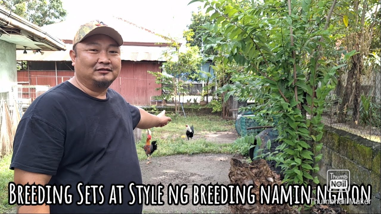Breeding set at breeding style namin ngayong season