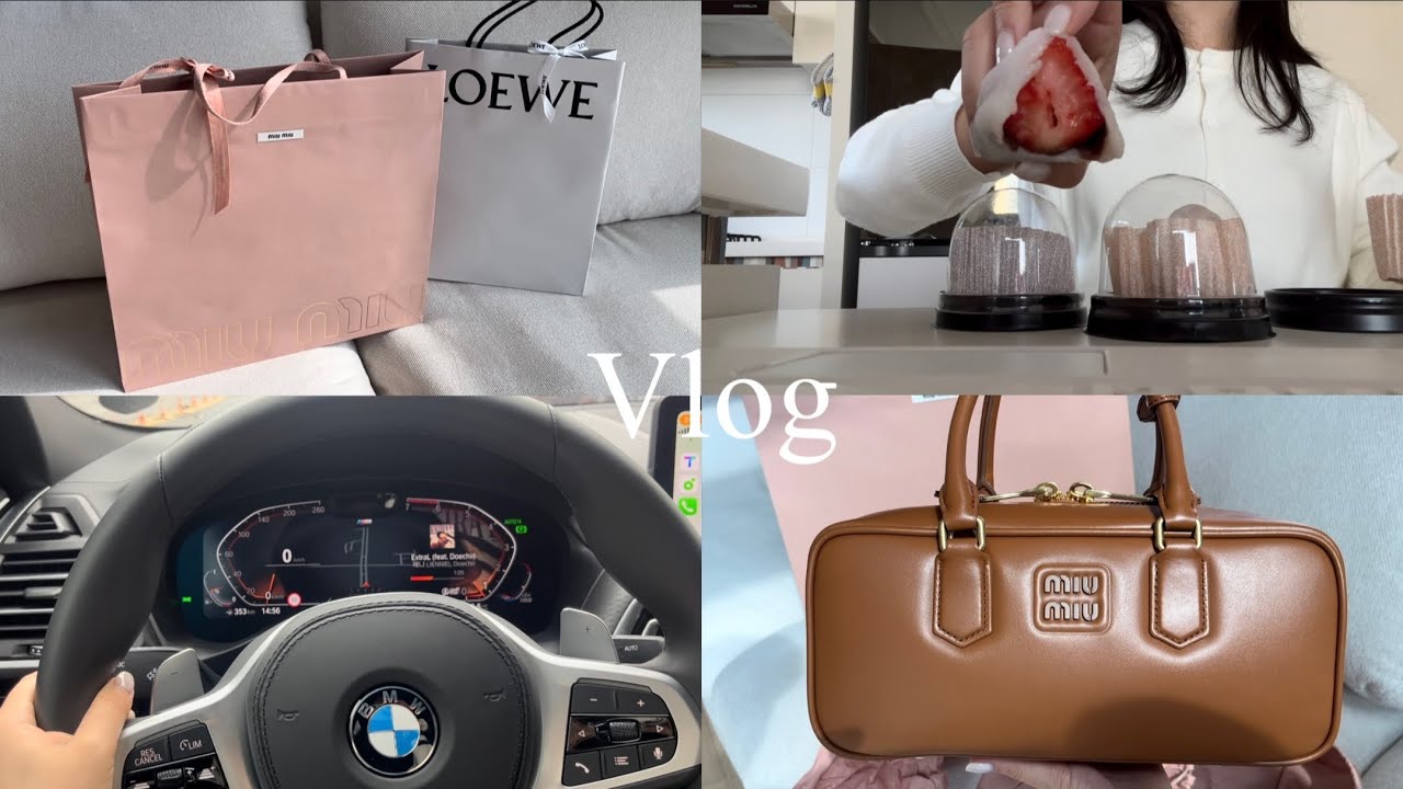 Vlog 뒷북 오지는 가방 구입기 | 미우미우, 로에베 언박싱 | 30만원대 로에베 티셔츠 + 착샷