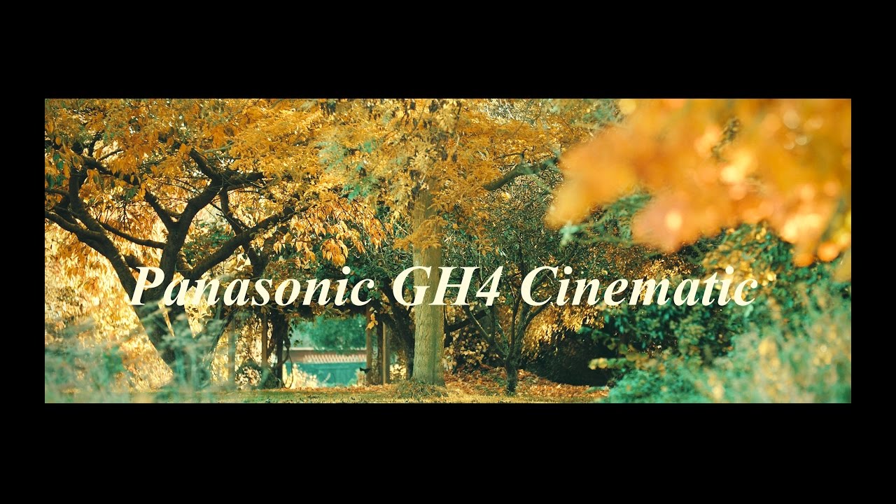 GH4 Vlog 4K Great Cinema Look