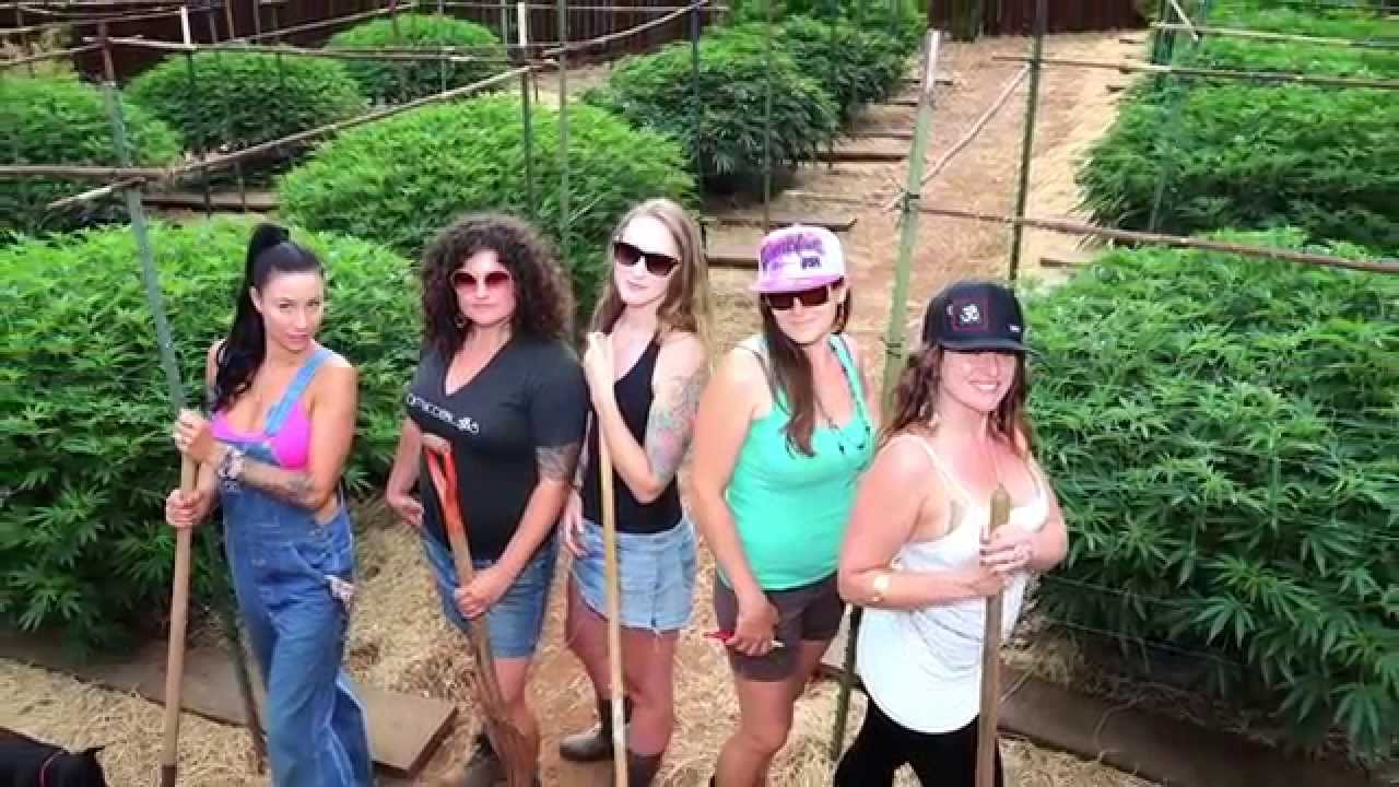 Inside California's All Female Grow Collective