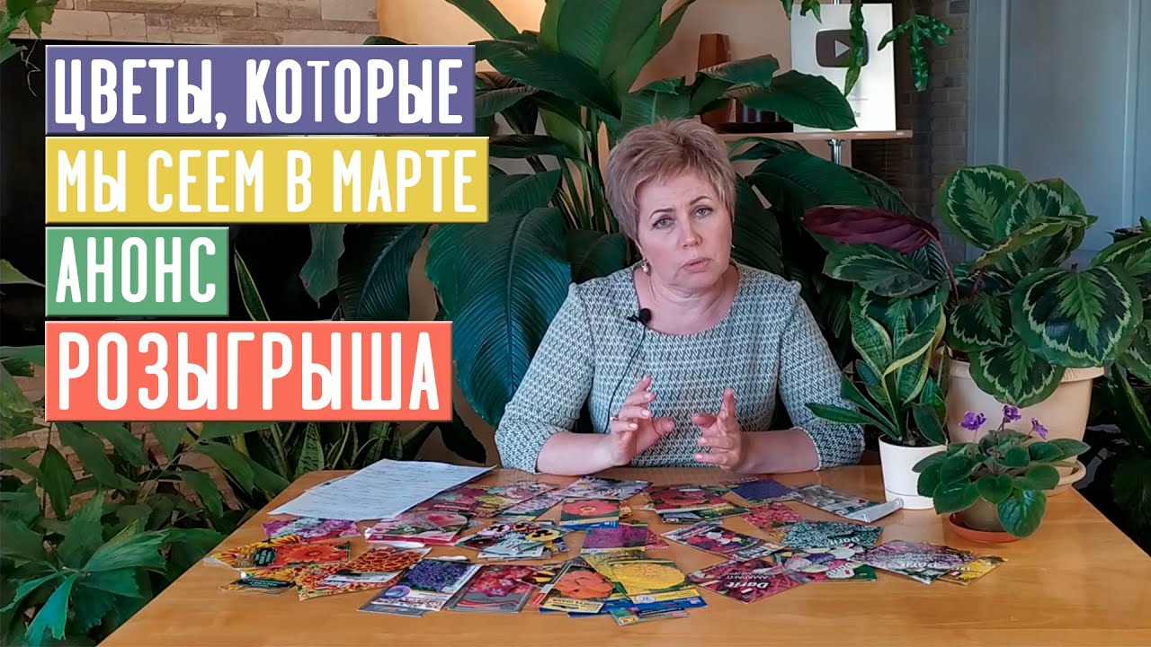 СЕЗОН 2020: ЧТО ПОСЕЯТЬ В МАРТЕ: цветы АНОНС РОЗЫГРЫША ПРИЗОВ К 8 МАРТА / Садовый гид