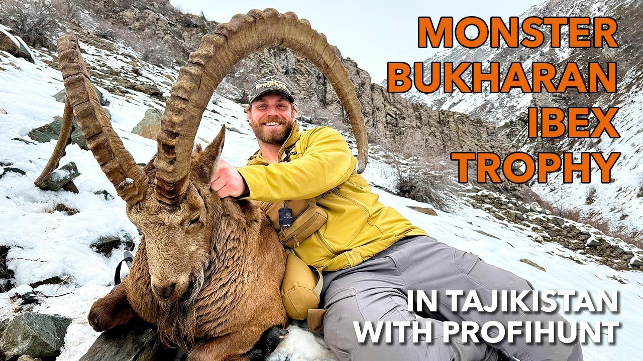 Monster Bukharan Ibex trophy in Tajikistan with ProfiHunt