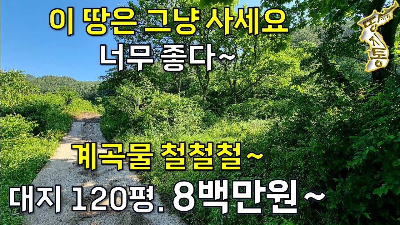 이 땅은 그냥 사세요.너무 좋다~대지 120평 8백만원~계곡물 철철철~전원주택지,산골살이,주말농장,자연인땅[땅지통]