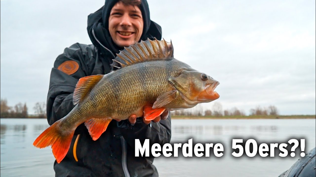 Finesse Uit De Bellyboat Op Baars - VisTD