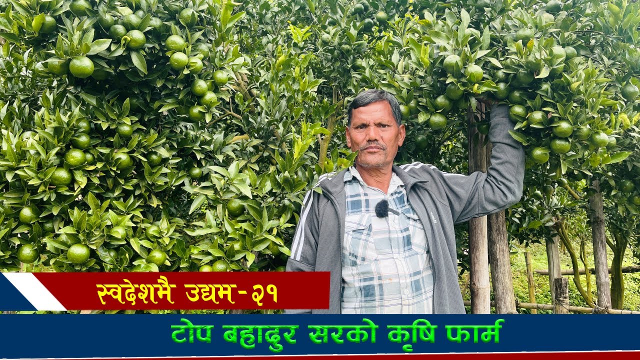 टोप बहादुर सरको कृषि फार्म ll स्वदेशमै उद्यम–२१