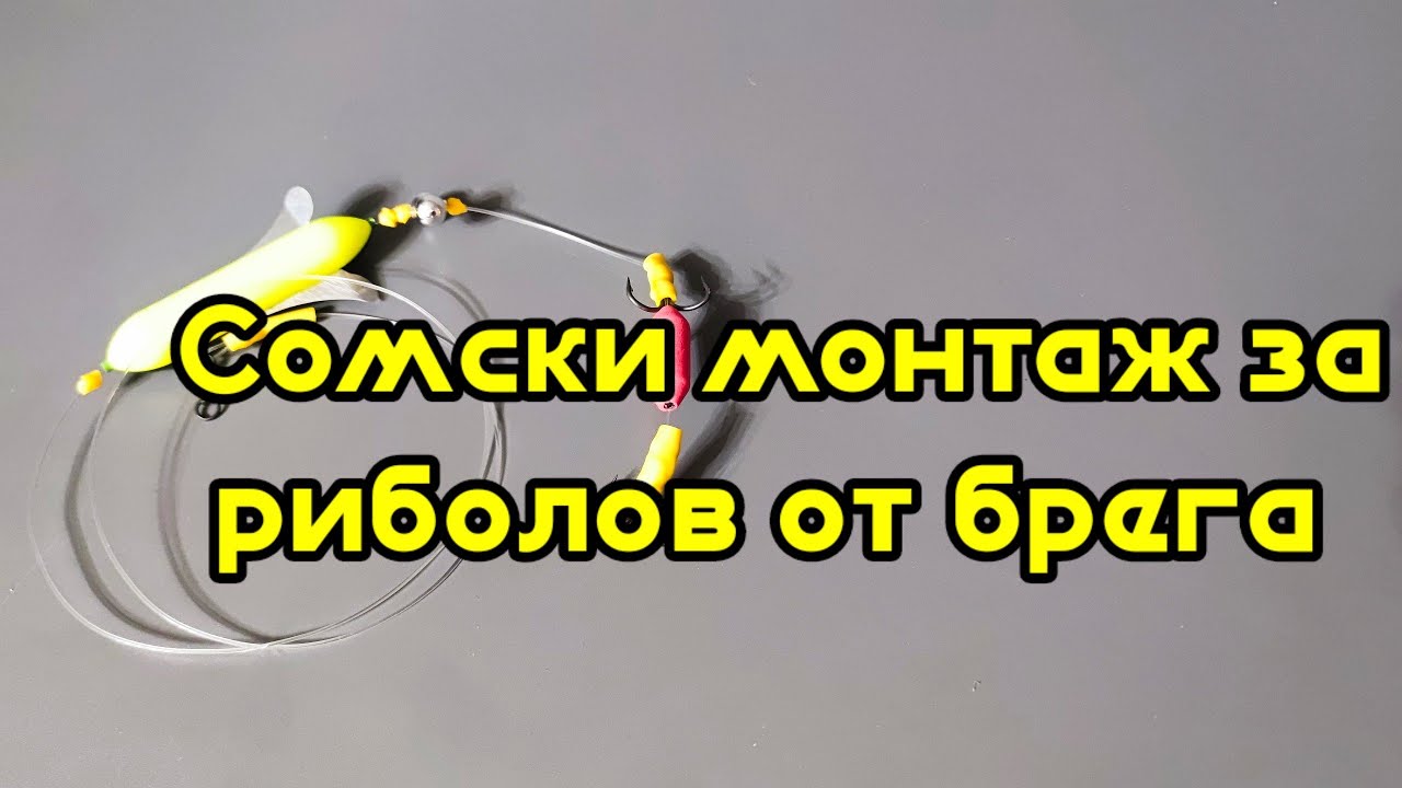 Сомски монтаж за пиявици и червеи.