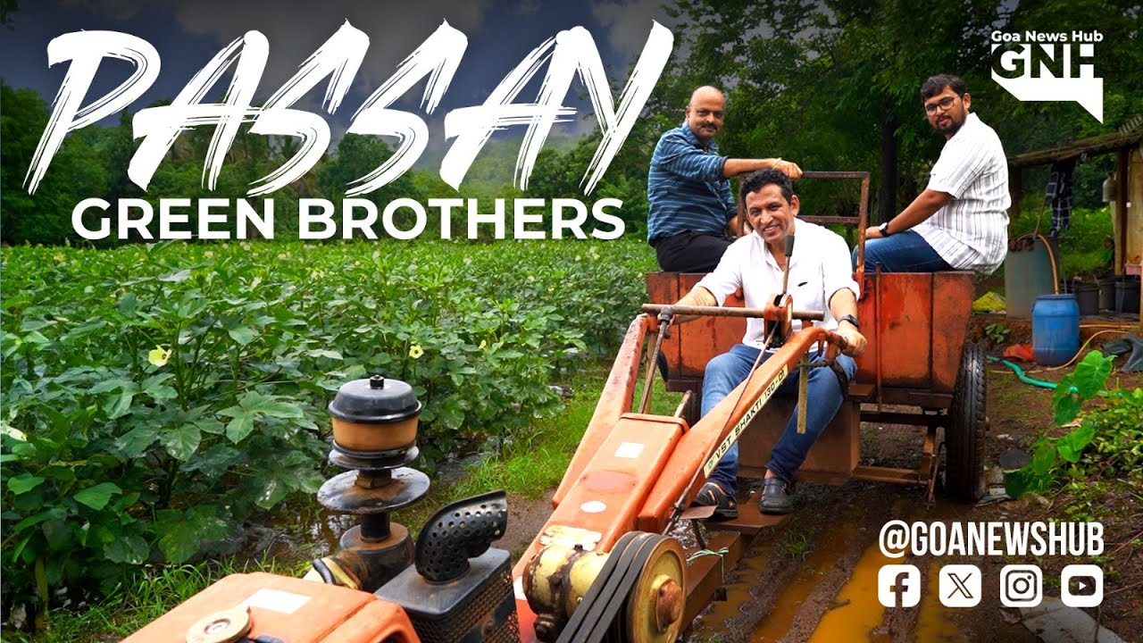 GREEN BROTHERS | PASSAY | 01/07/2024 | GNH
