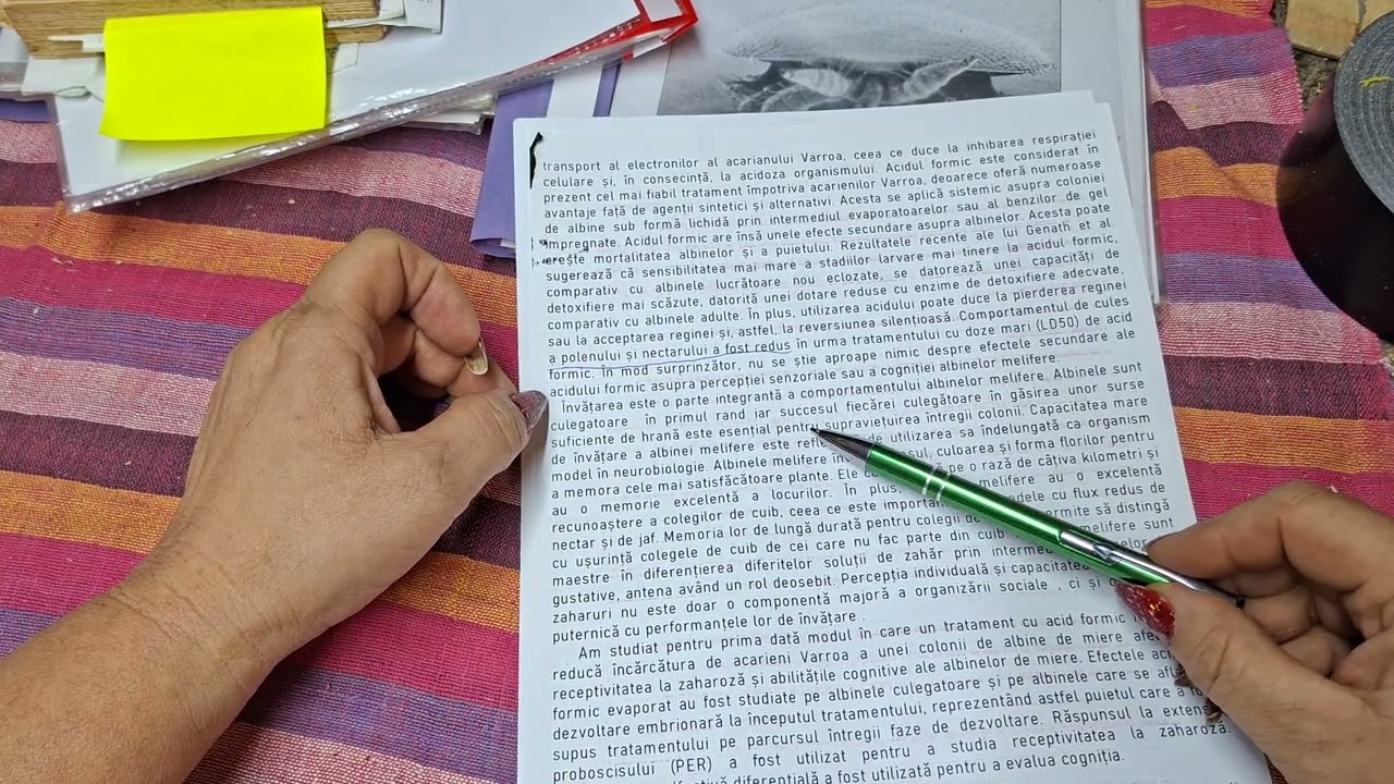 Lecții audio. Tratament cu formic  nu afectează albina  si îmbunătățește performanta de cules. 