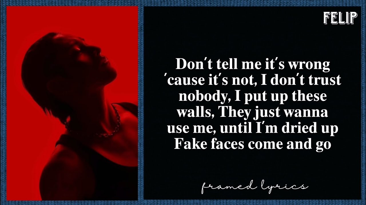 FELIP - Fake Faces Lyrics (Framed)