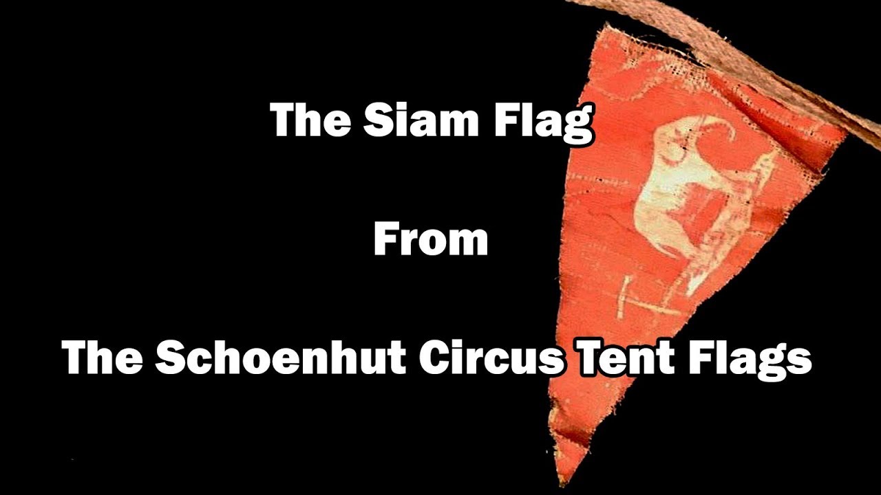 The Siam Flag From An Antique Schoenhut Circus Tent Flags