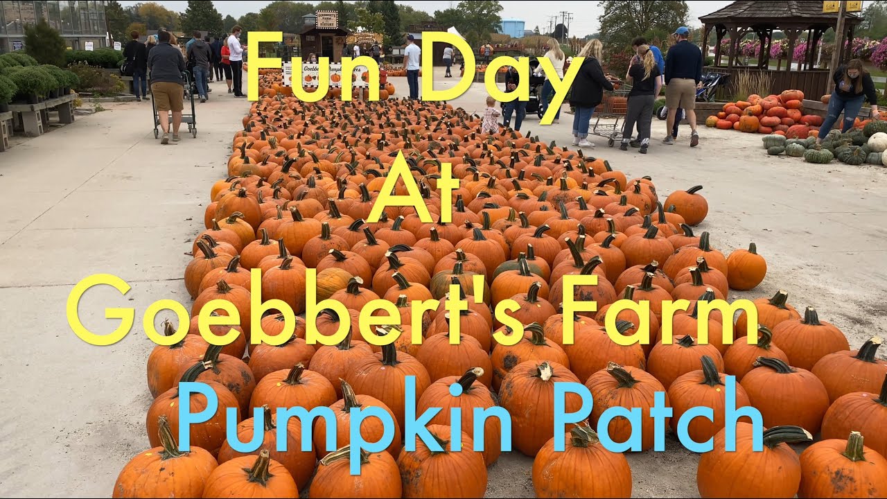 Best place for Pumpkin Patch near Chicago | Goebbert's Farm in 4K | A fun day for the family