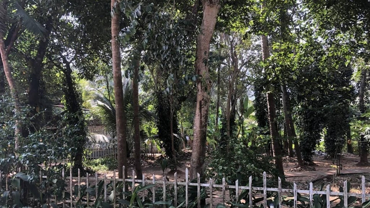 Ayuryogashram Heritage, Talappilly, India | Travel With Anvika