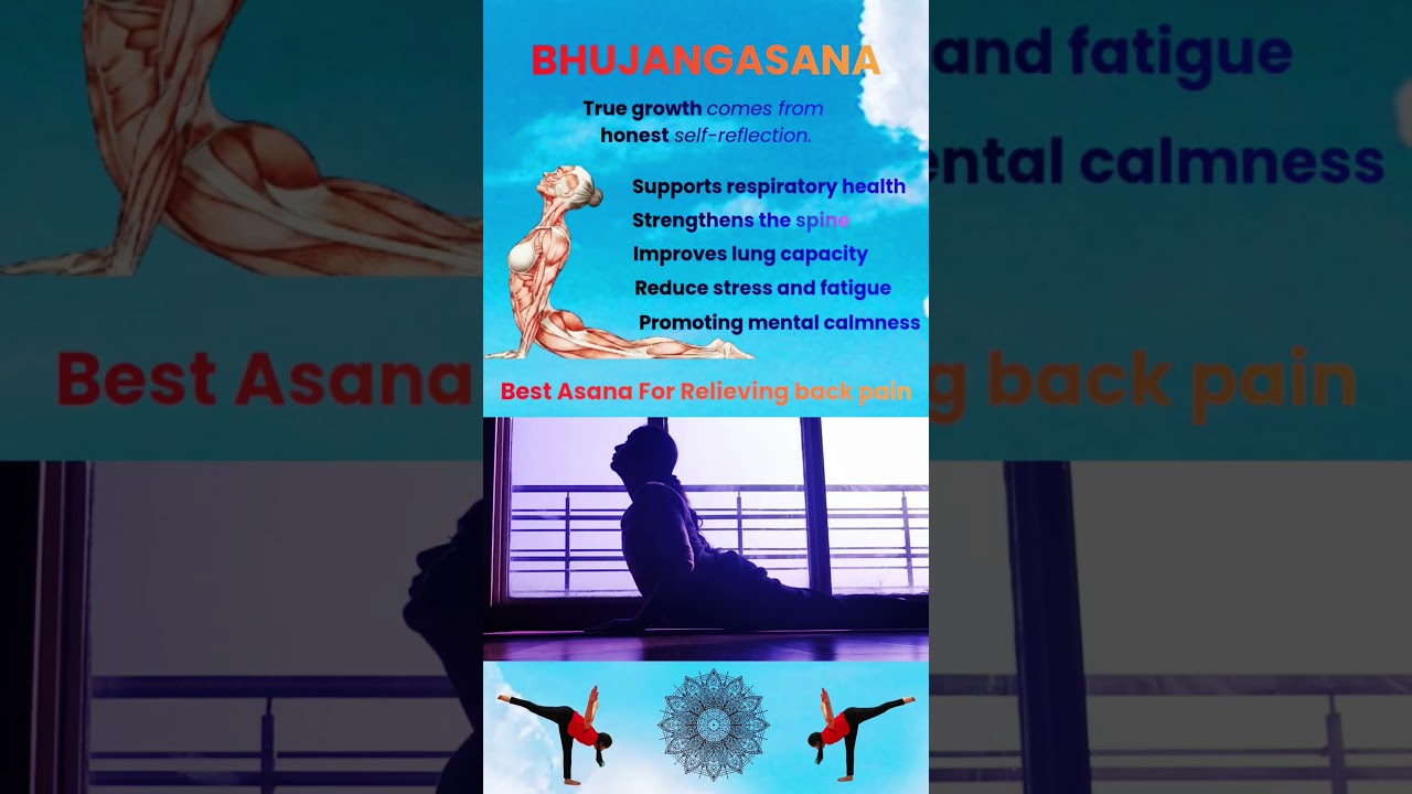 bhujangasana ko Sahi kaise karen 
