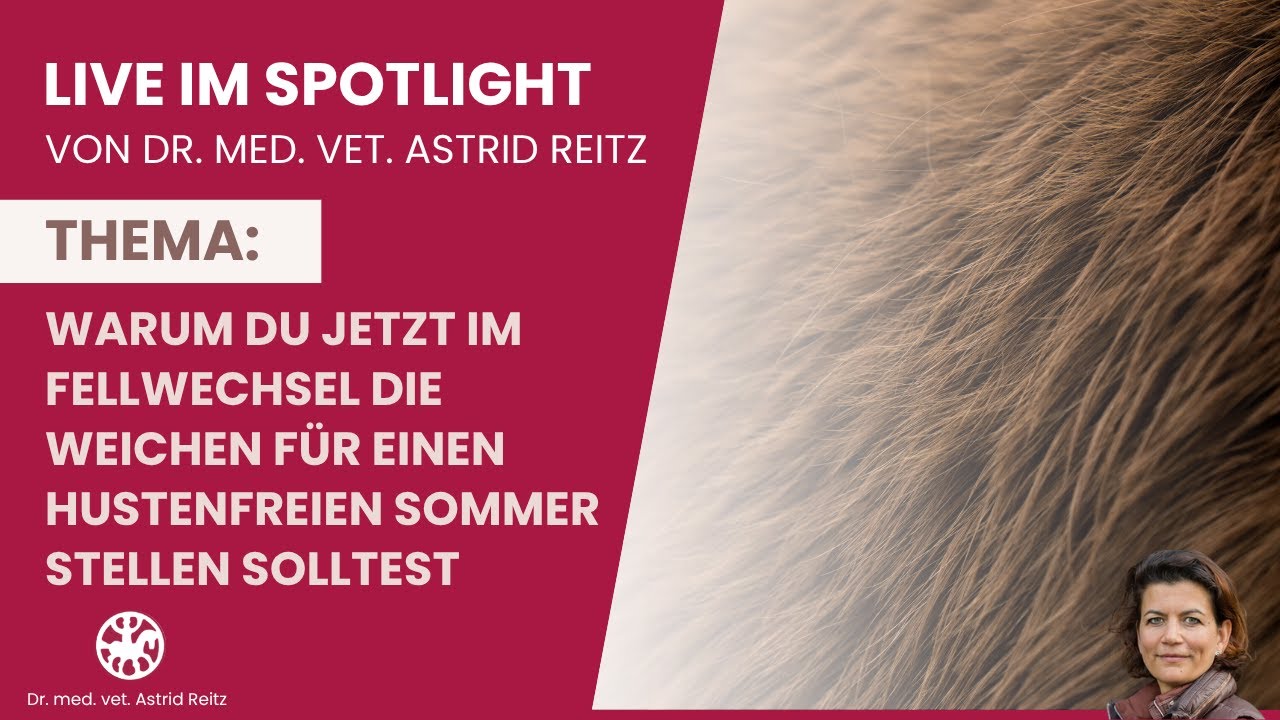 Warum du JETZT im Fellwechsel die Weichen für einen hustenfreien Sommer stellen solltest (27.9.2025)