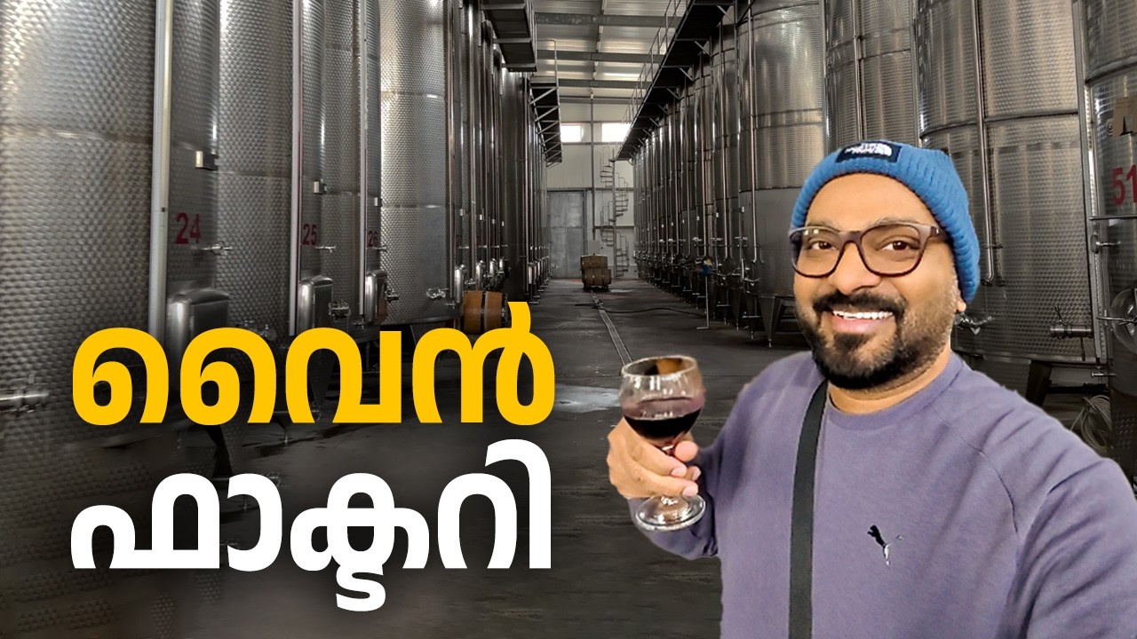 വൈൻ ഫാക്ടറിയിലെ കാഴ്ചകൾ | Georgia Wine Tour | Visiting KTW & Gurami Papa’s Winery + Chacha Tasting