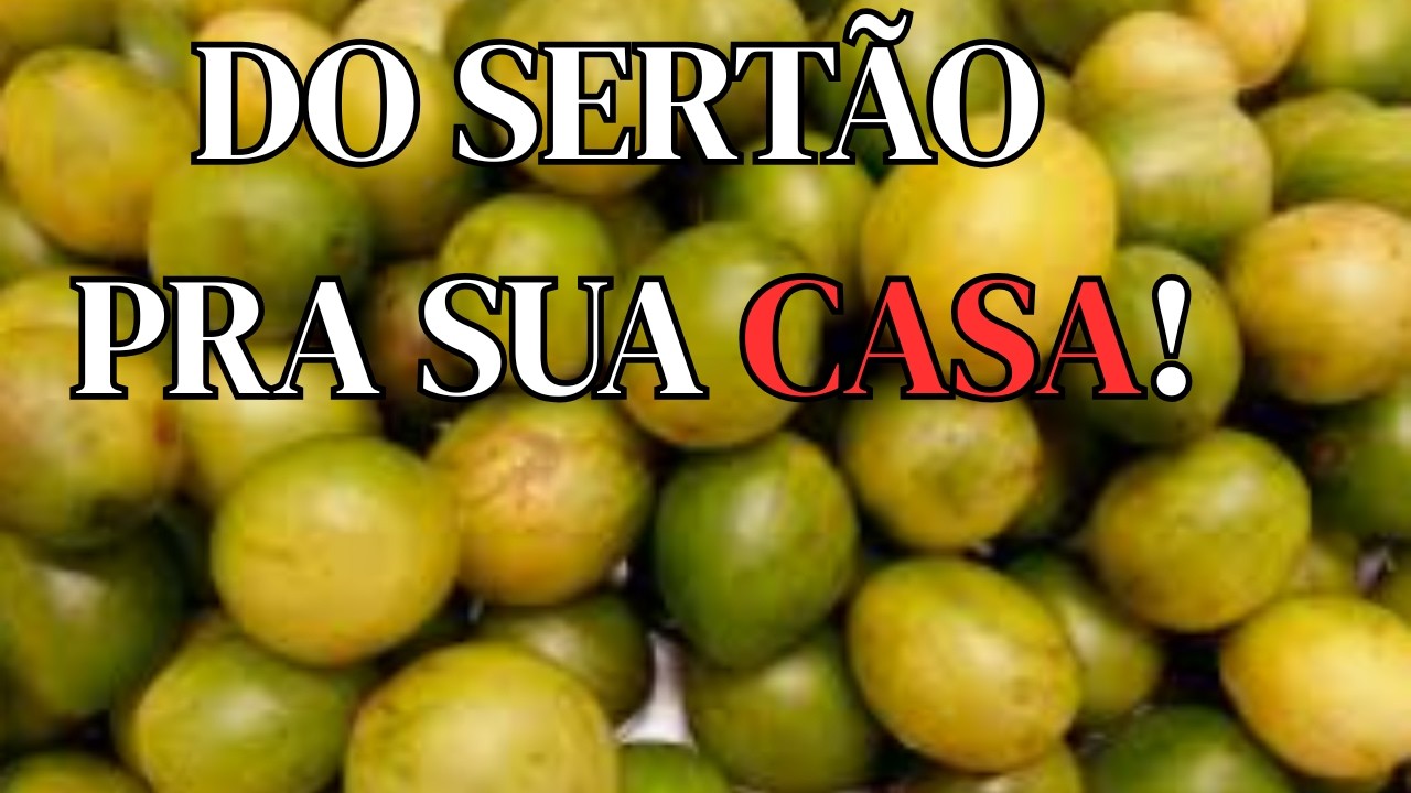 COMO FAZER POLPA DE UMBU PERFEITA (JEITO DO SERTÃO)
