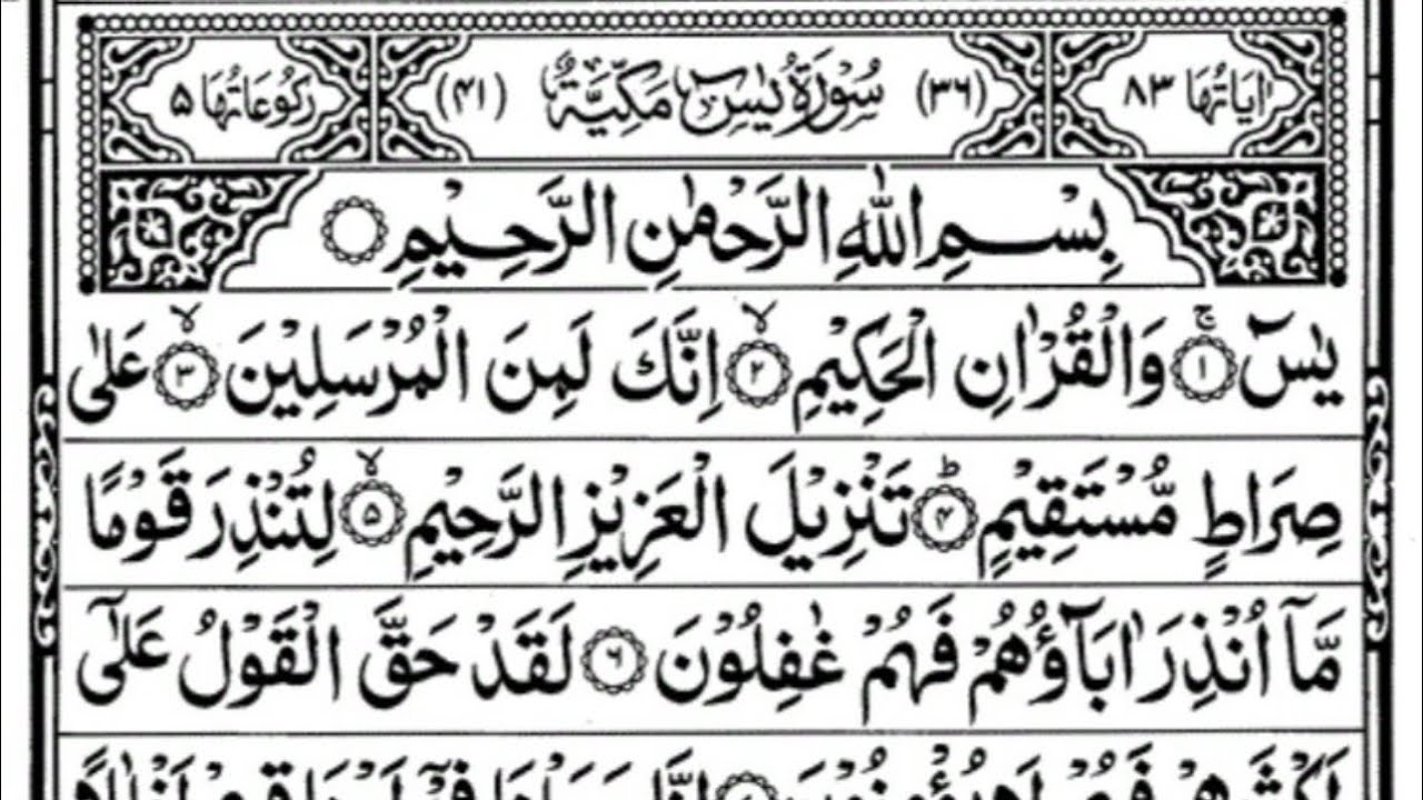Surha Yasin 🌹 -& AR Rhman 🌸must beautiful 🌸Quran reaction, Tilawat ￼ Yasin, full Arabic text #2026￼
