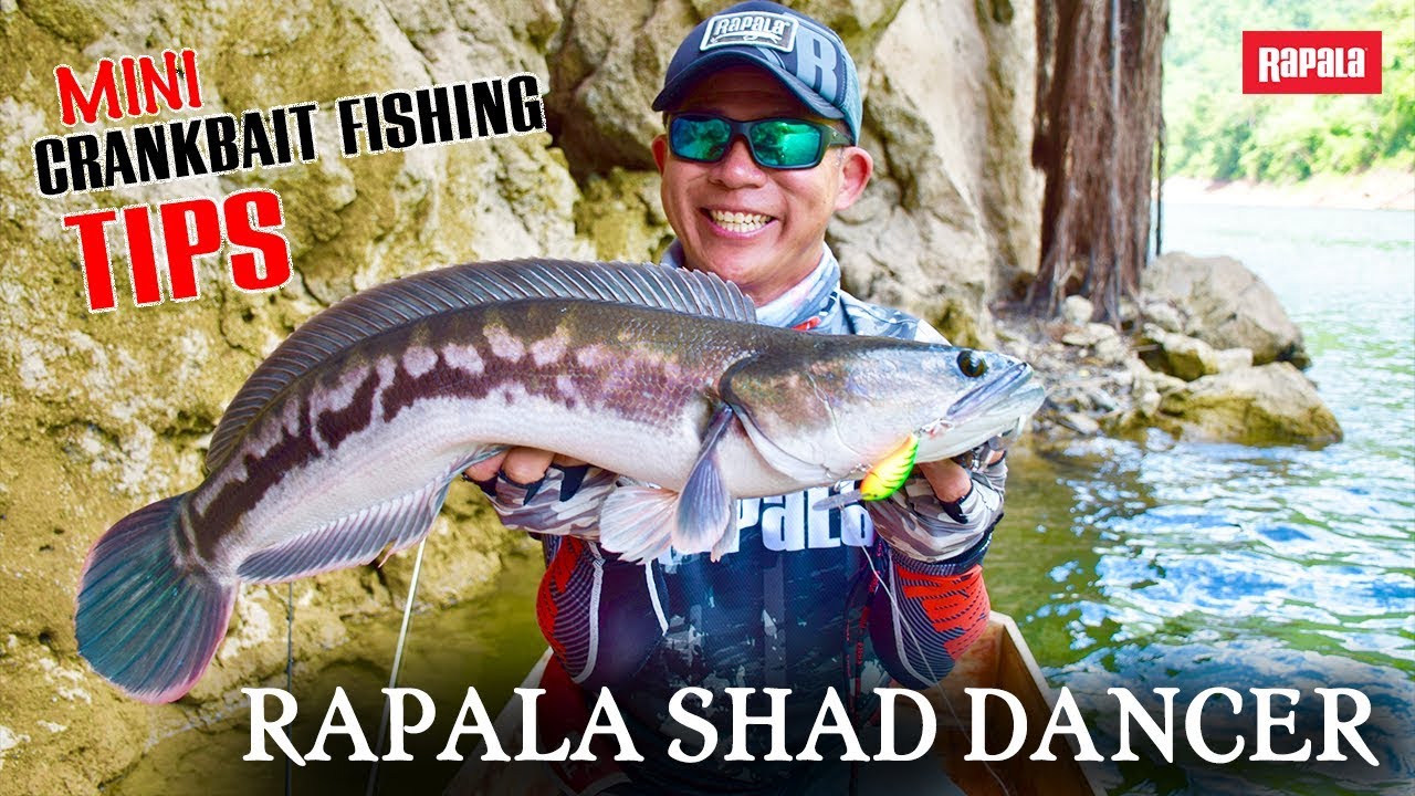Freshwater Fishing in Thailand
