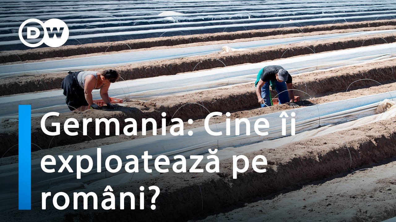 Germania: Cine îi exploatează pe lucrătorii români?