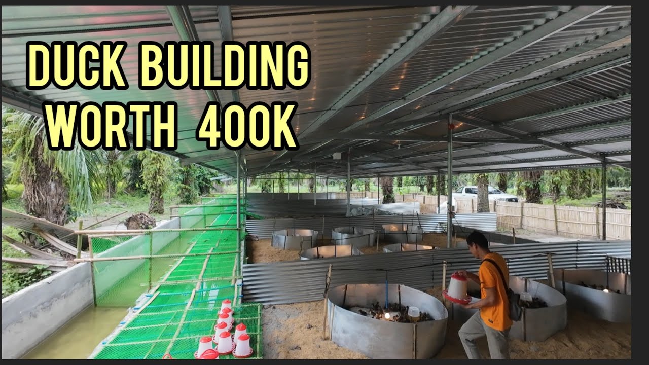 DUCK POULTRY CONCRETE MATERIALS AND GROUND TYPE NG ISULAN SULTAN KUDARAT