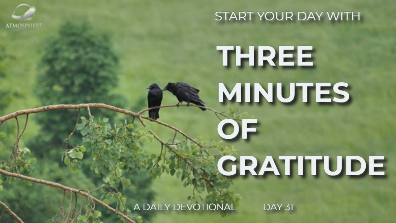 New Daily Devotional- 3 Minutes of Gratitude Day 31