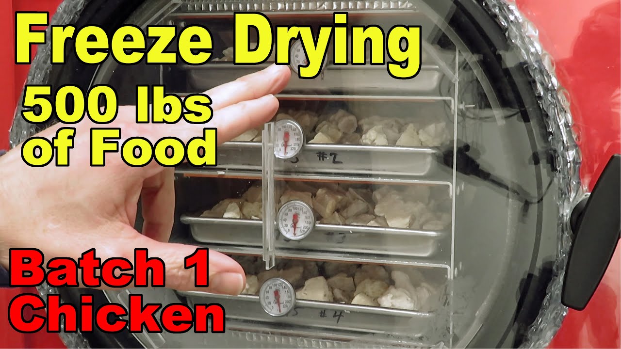 Freeze Drying Your First 500 lbs of Food - Batch 1 part 1 - Chicken