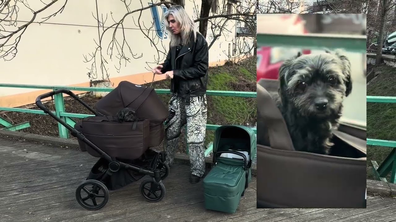 Geniální kočárek nejen pro dvojčata, sourozence nebo jen jedno dítě a psa 🐶. To je BUGABOO DONKEY 6