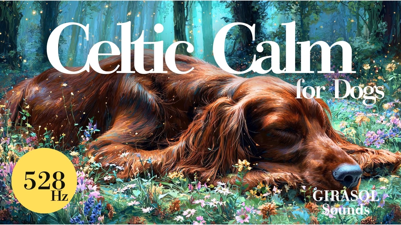 Celtic Calm Music for Dogs | 10H Background Sound for Restless Moments