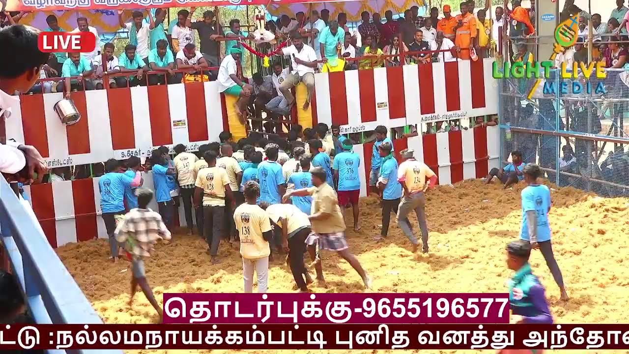 JALLIKATTU 2026 Live ஜல்லிக்கட்டு திண்டுக்கல்