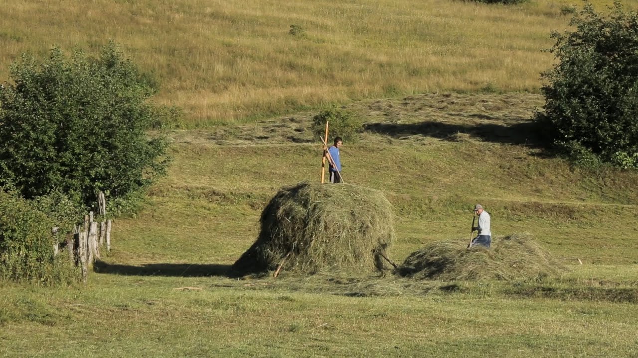 Ирыстон, Хосгæрдан  