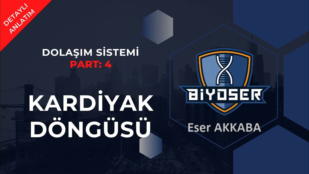 KARDİYAK DÖNGÜSÜ | DOLAŞIM SİSTEMİ 4 | 11. Sınıf ve AYT Biyoloji