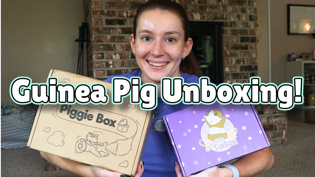 My Favorite Guinea Pig Subscription Boxes! 🐹📦✨