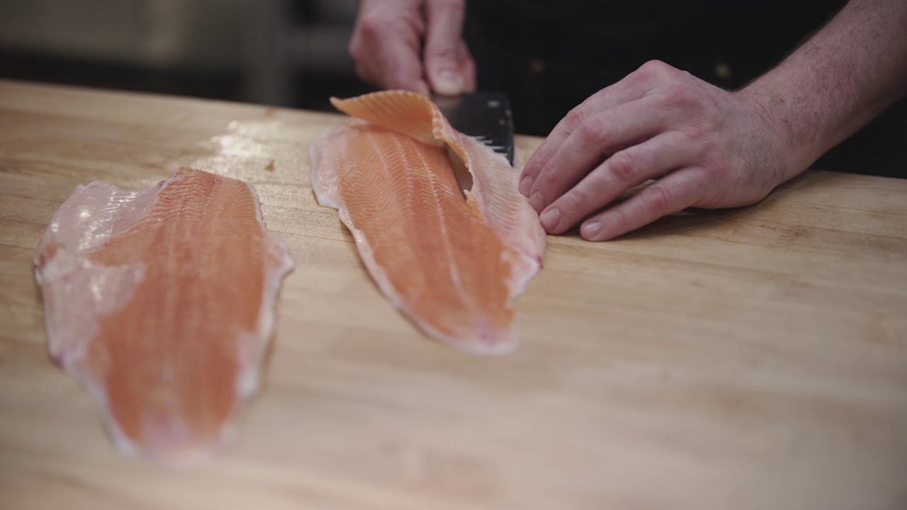 Filleting a Fish - NWCAV Technique Series