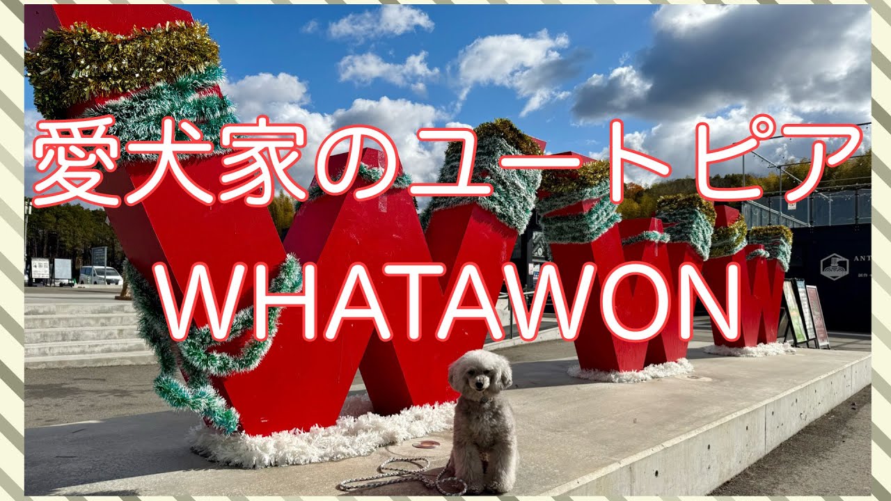【わんことお出かけ】愛犬家の理想郷ワタワン岸和田