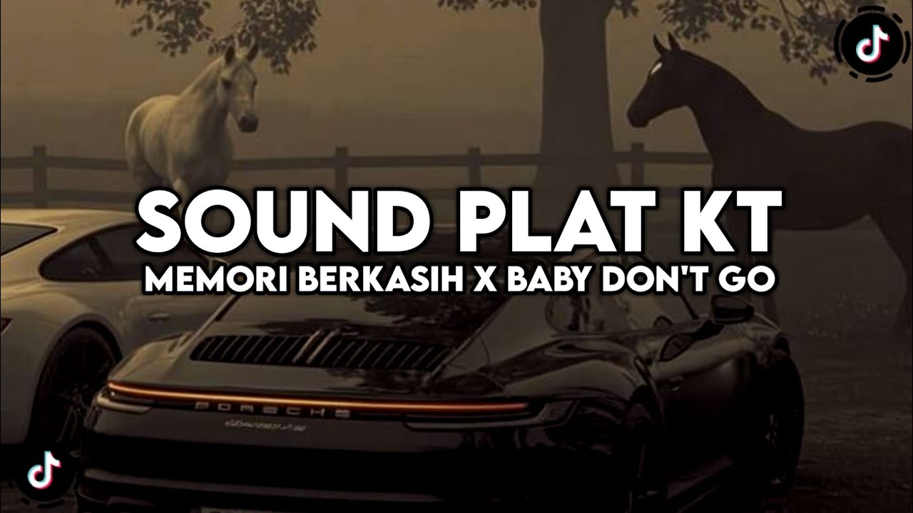 DJ PLAT KT MEMORI BERKASIH X BABY DON'T GO VIRAL TIKTOK 2025🎧