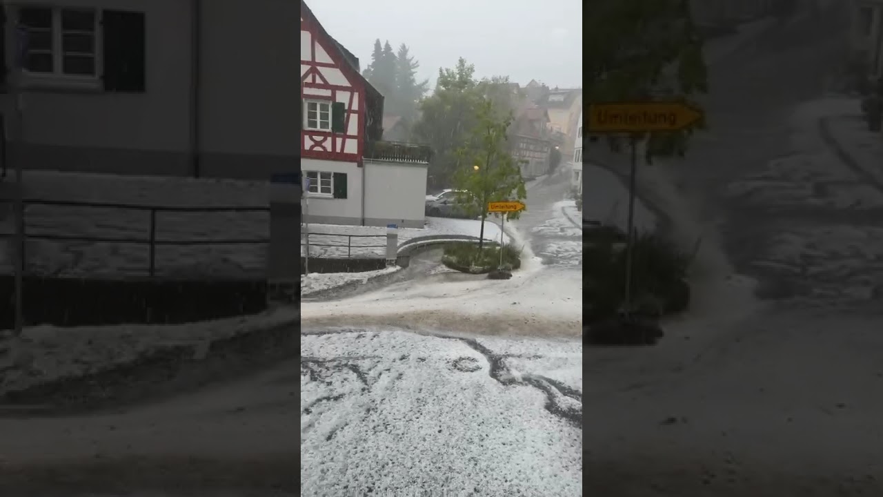 Video Sipplingen