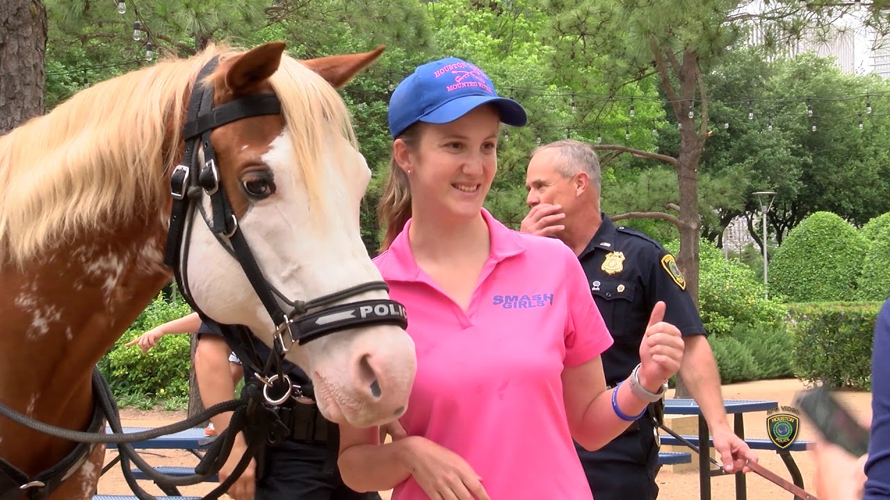 Meet and Greet HPD Mounted and K9 | Houston Police