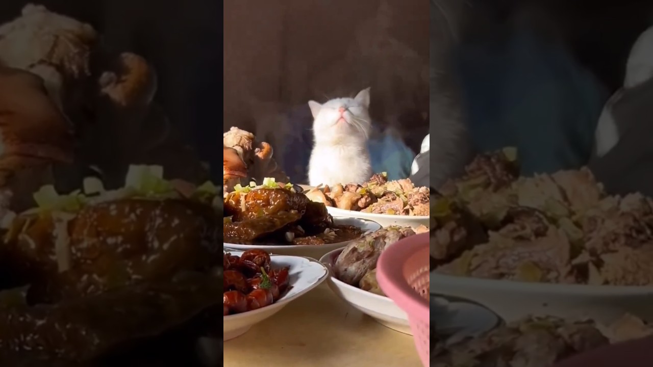 He Really Loves The Smell Of Food 😂