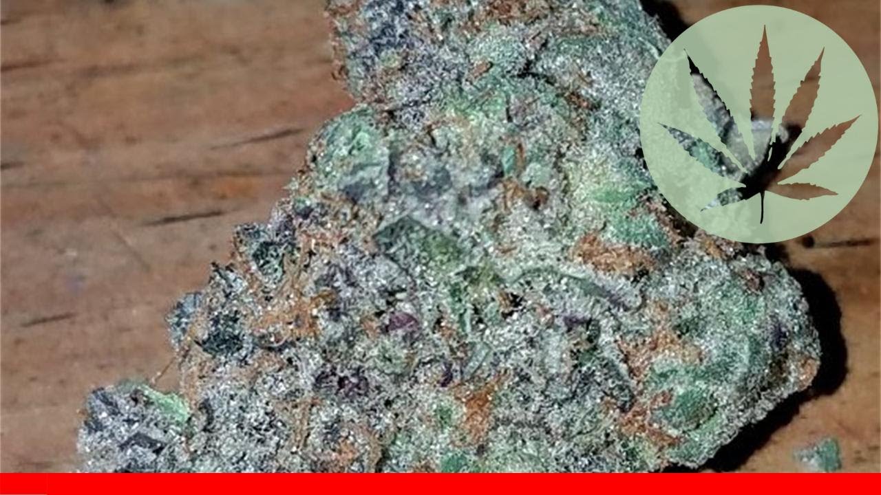 Abusive Og - All About This Strain