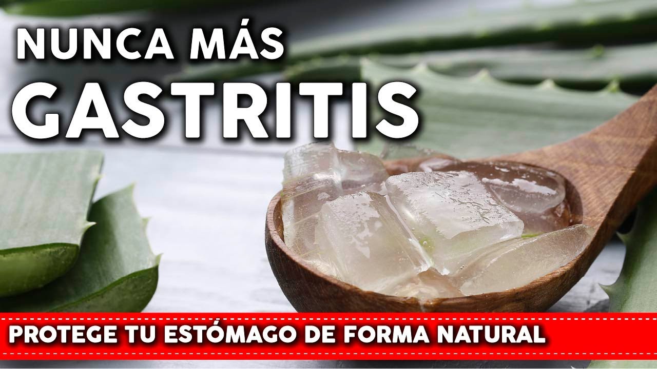 6 Plantas para aliviar la GASTRITIS - Como usarlas y cultivarlas en tu huerta o jardin