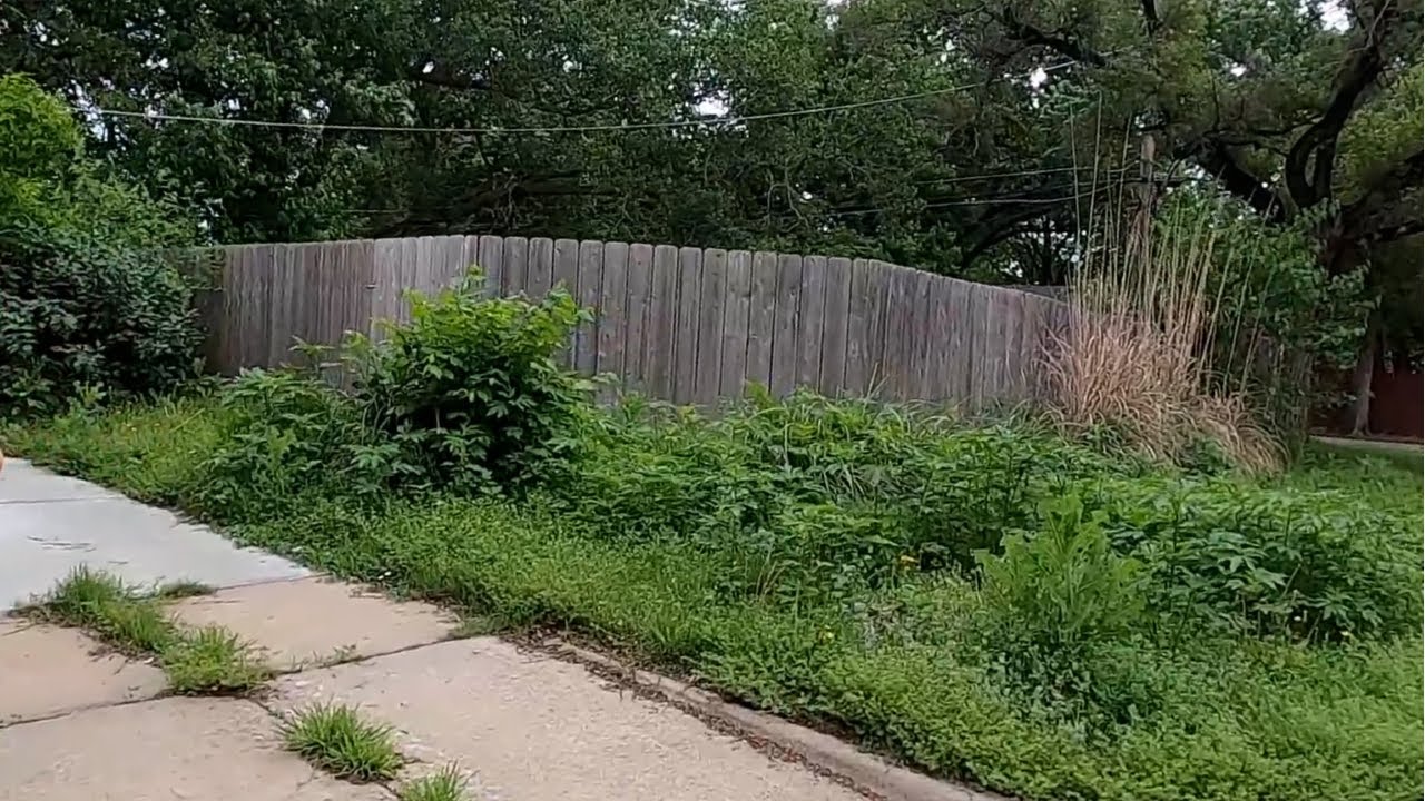 The UGLIEST Lawn In The Neighborhood BADLY Needed Cleaned Up