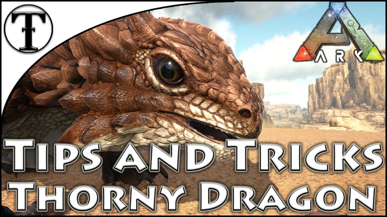 Fast Thorny Dragon Taming Guide :: Ark : Survival Evolved Tips and Tricks