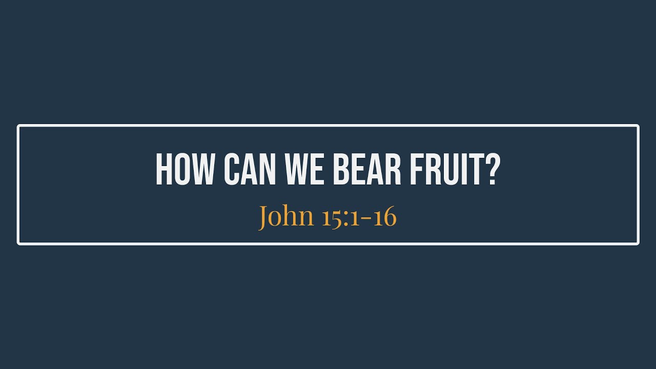 How Can We Bear Fruit? (John 15:1-16)